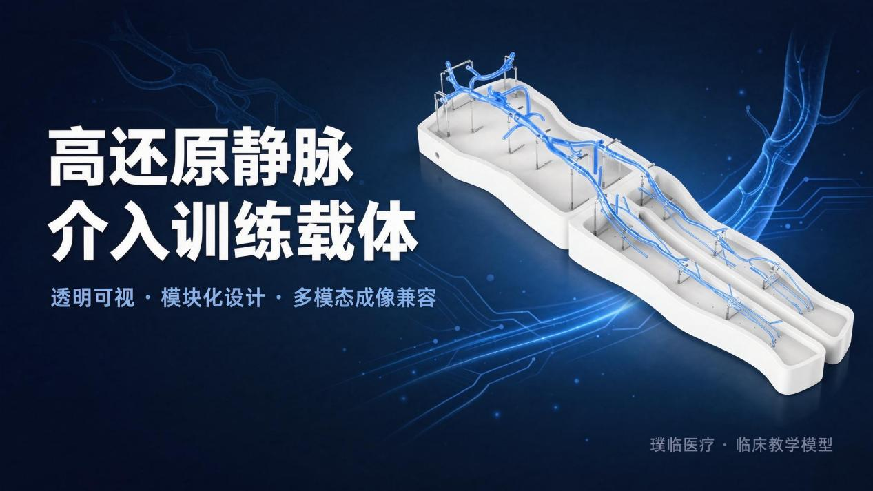 上下腔静脉训练模型：静脉介入手术实操训练的模拟化解决方案