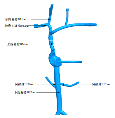 璞临医疗上下腔静脉训练模型产品各部位介绍.png