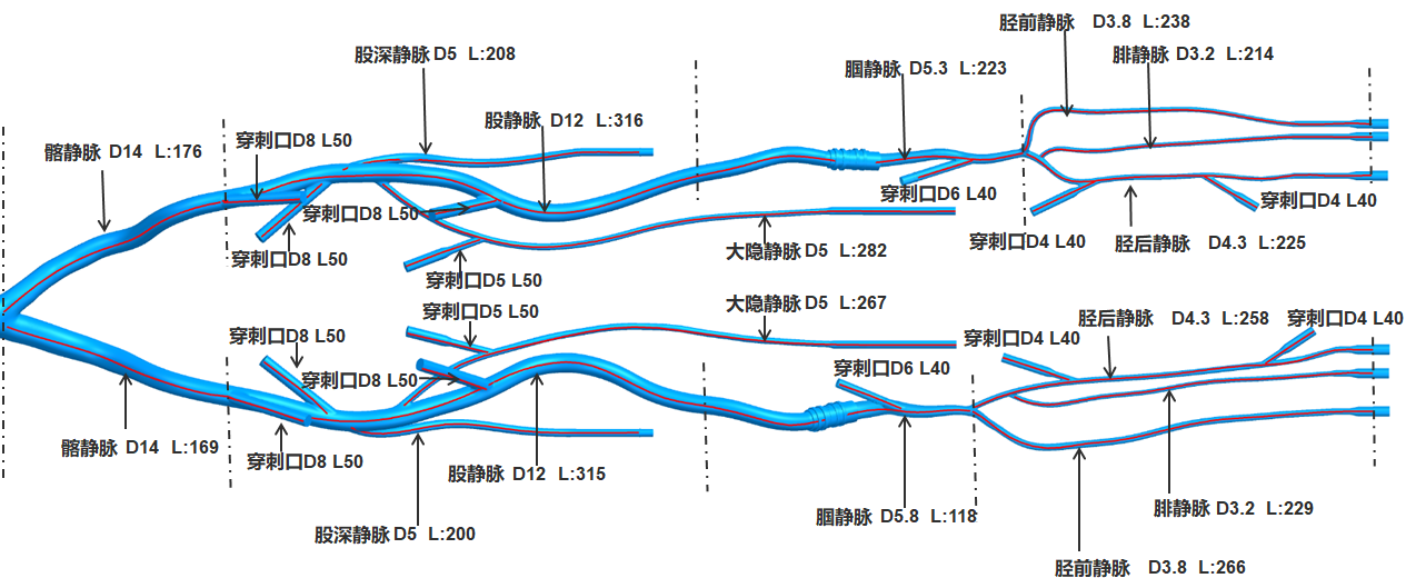 璞临医疗上下腔静脉训练模型产品各部位介绍1.png