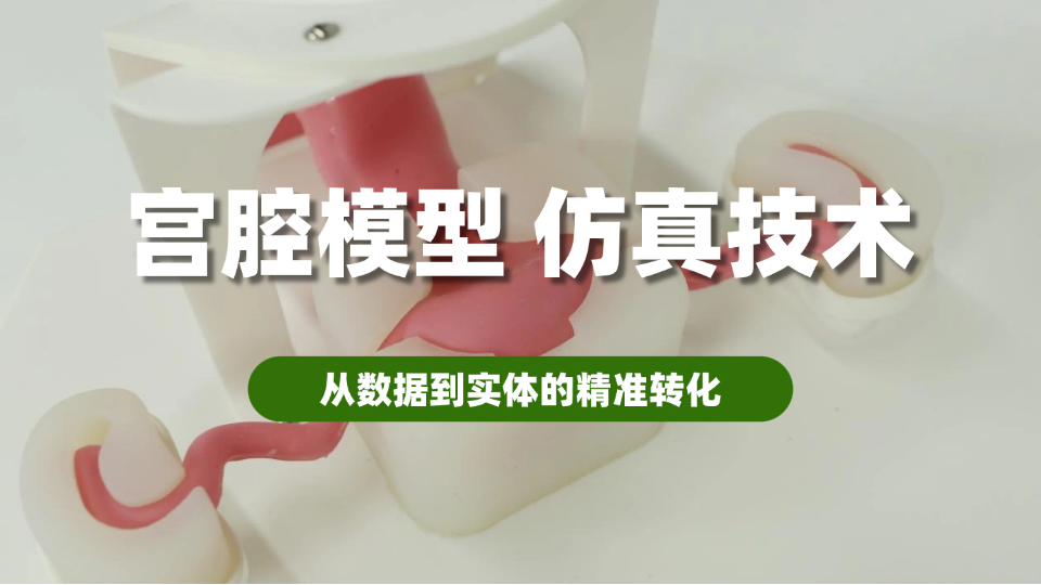 宫腔模型不止于“解剖复刻”，内镜训练模型如何承载妇科教学培养？