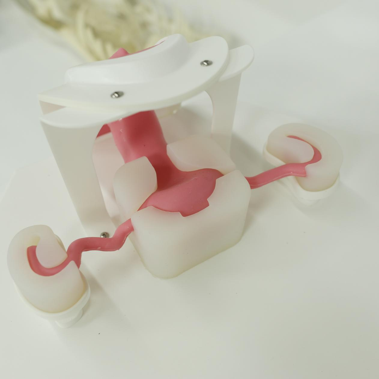 璞临医疗宫腔镜介入训练模型1.png