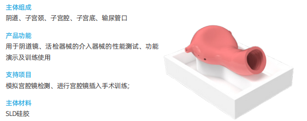 璞临医疗宫腔镜介入训练模型2.png