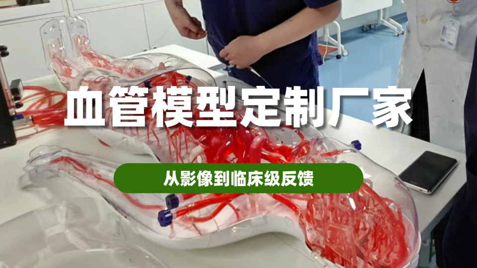 血管模型厂家的技术拆解：定制能力如何决定临床训练价值？